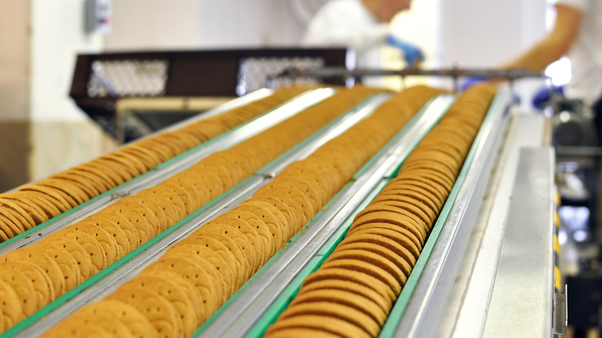 biscuit production